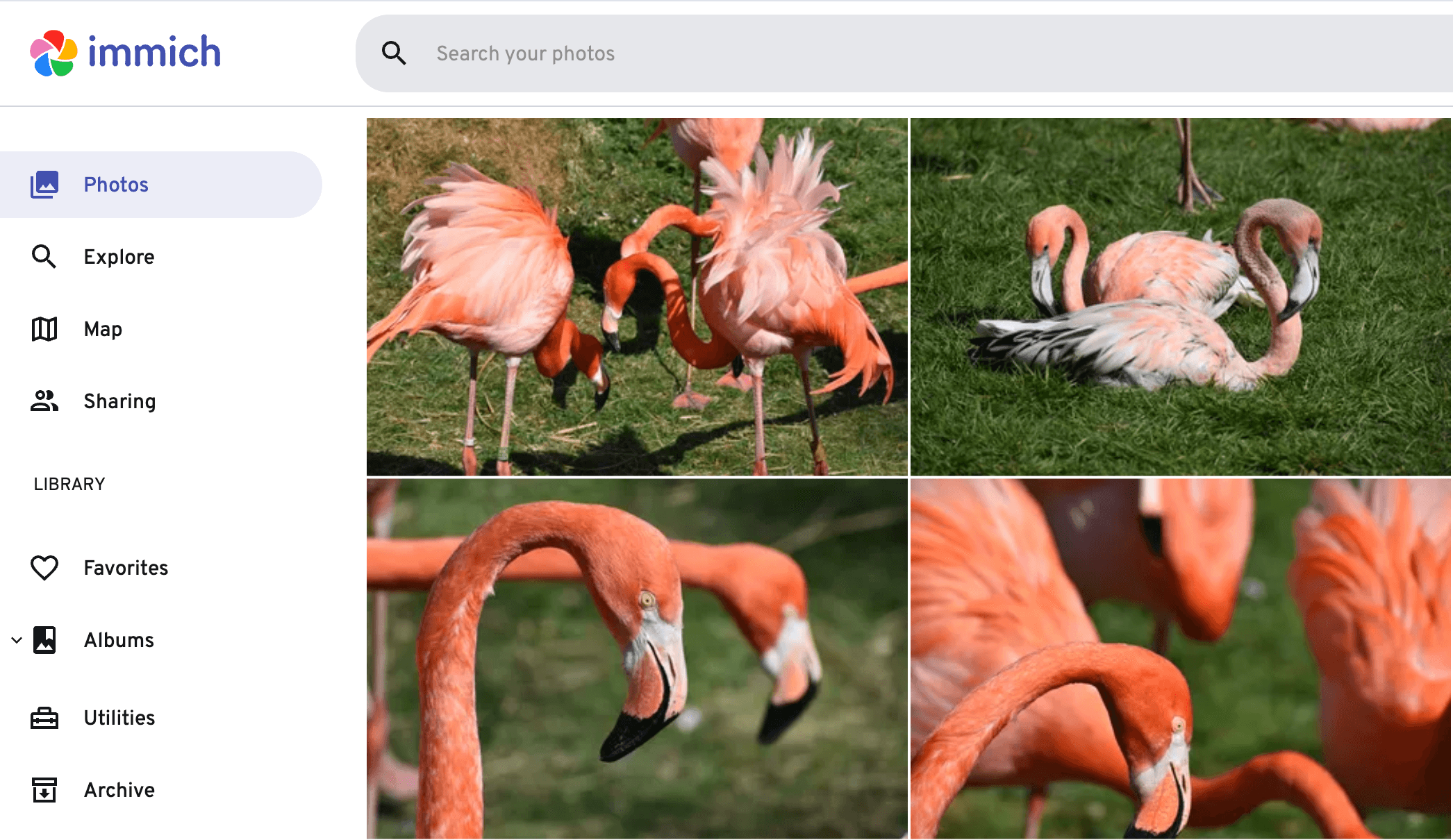 Taking Control: Self-Hosting My Photo Library with Immich